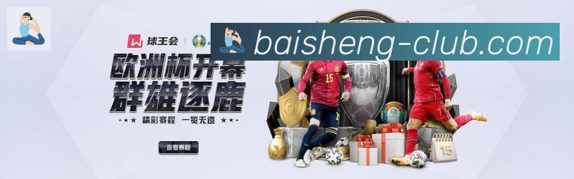 互动解说服务